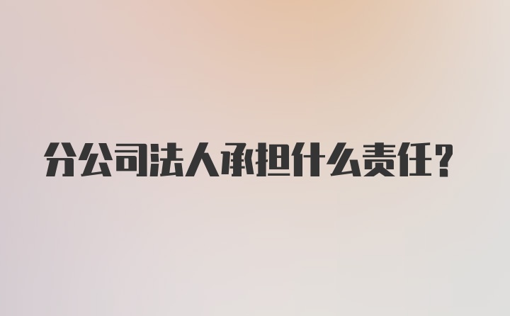 分公司法人承担什么责任？