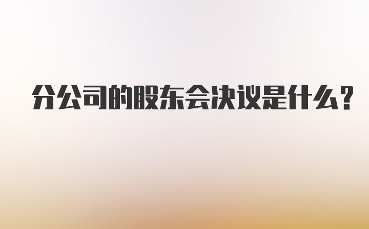 分公司的股东会决议是什么？