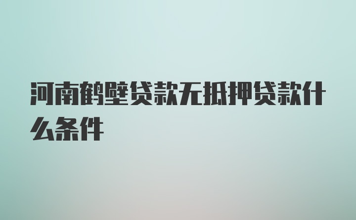 河南鹤壁贷款无抵押贷款什么条件