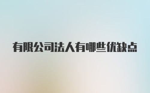 有限公司法人有哪些优缺点