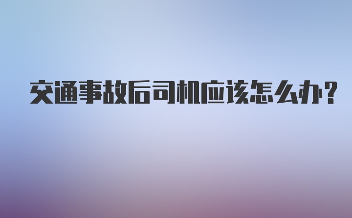 交通事故后司机应该怎么办？