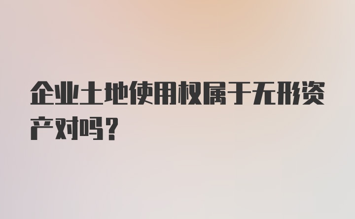 企业土地使用权属于无形资产对吗?