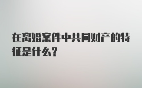 在离婚案件中共同财产的特征是什么？