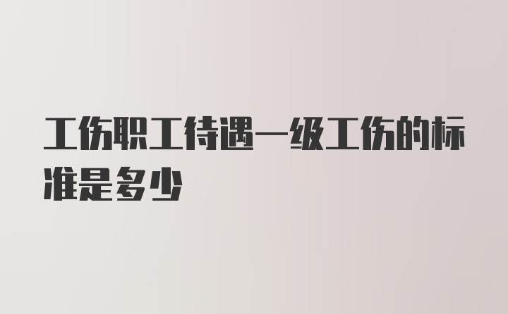 工伤职工待遇一级工伤的标准是多少