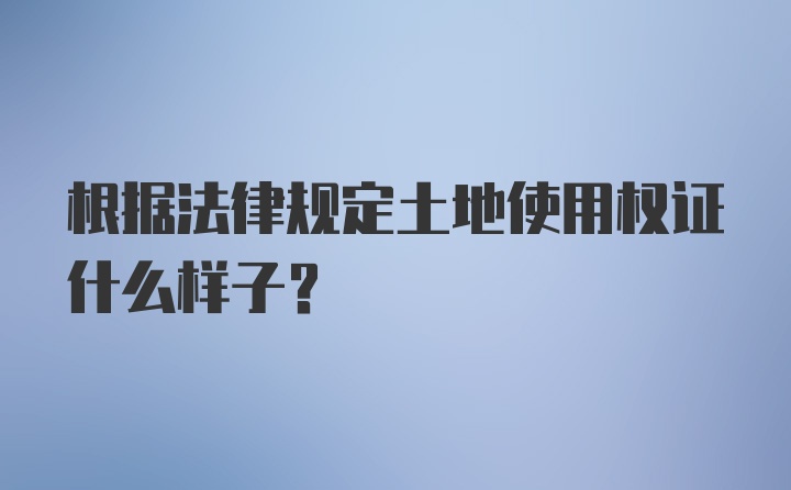 根据法律规定土地使用权证什么样子?