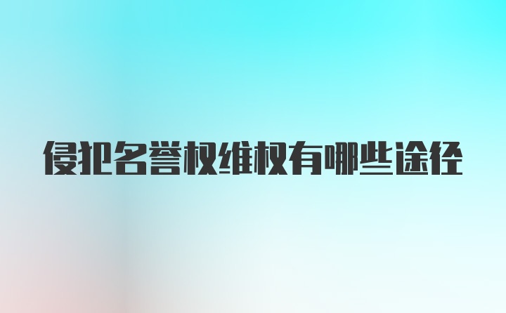 侵犯名誉权维权有哪些途径