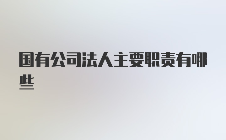 国有公司法人主要职责有哪些