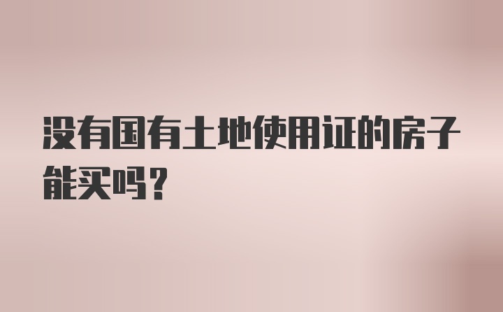 没有国有土地使用证的房子能买吗?