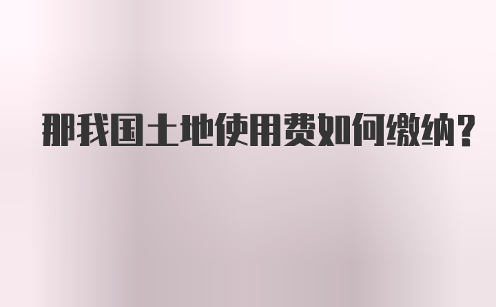 那我国土地使用费如何缴纳？