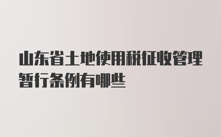 山东省土地使用税征收管理暂行条例有哪些