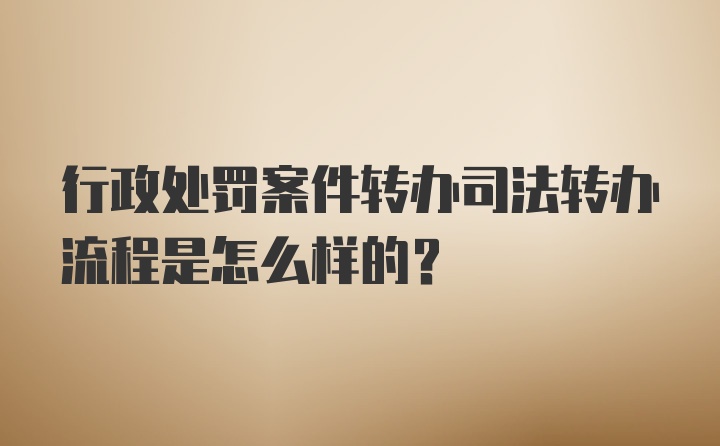 行政处罚案件转办司法转办流程是怎么样的?