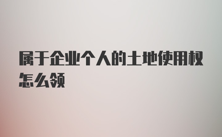 属于企业个人的土地使用权怎么领