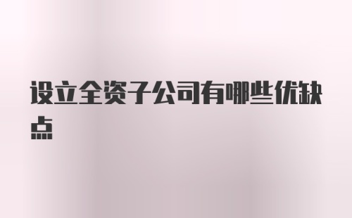 设立全资子公司有哪些优缺点