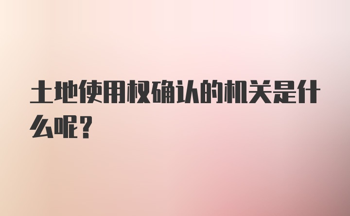 土地使用权确认的机关是什么呢？