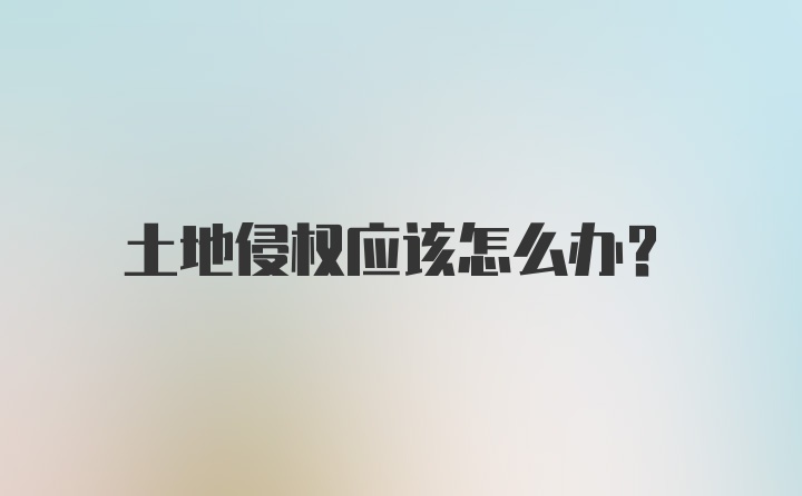 土地侵权应该怎么办？