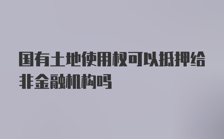 国有土地使用权可以抵押给非金融机构吗