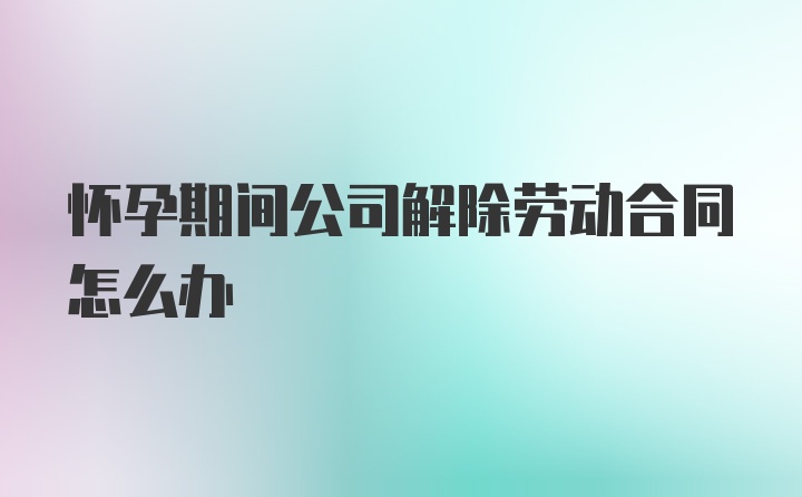 怀孕期间公司解除劳动合同怎么办