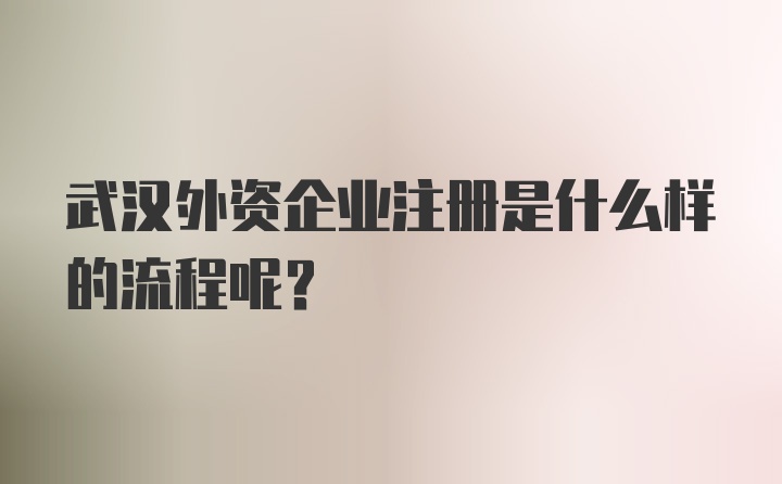 武汉外资企业注册是什么样的流程呢？