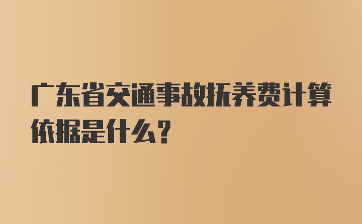 广东省交通事故抚养费计算依据是什么？