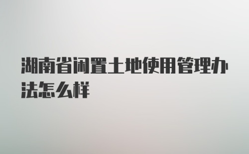 湖南省闲置土地使用管理办法怎么样