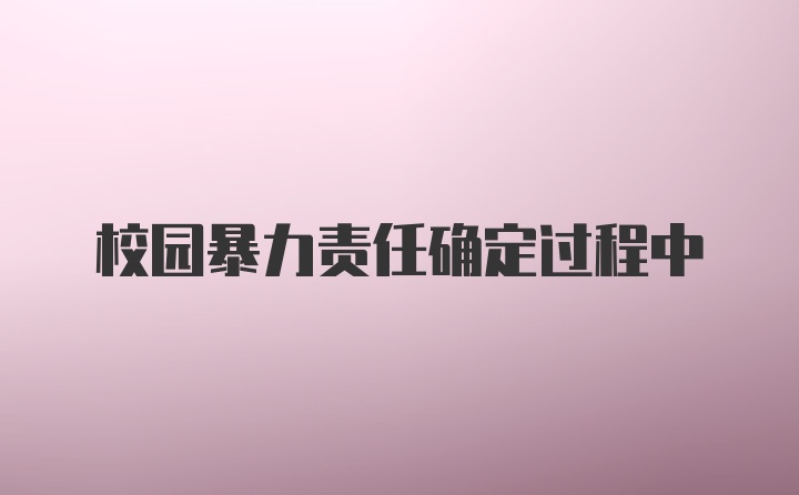 校园暴力责任确定过程中