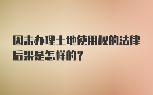 因未办理土地使用权的法律后果是怎样的？