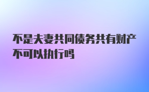 不是夫妻共同债务共有财产不可以执行吗