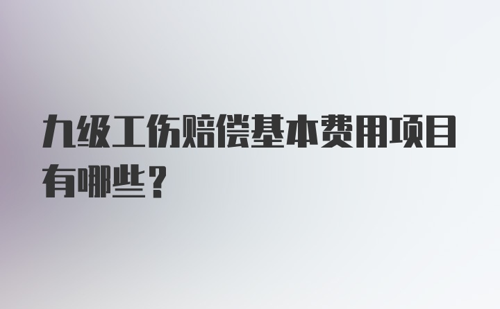 九级工伤赔偿基本费用项目有哪些？