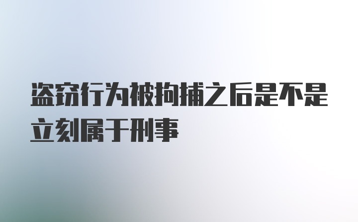 盗窃行为被拘捕之后是不是立刻属于刑事