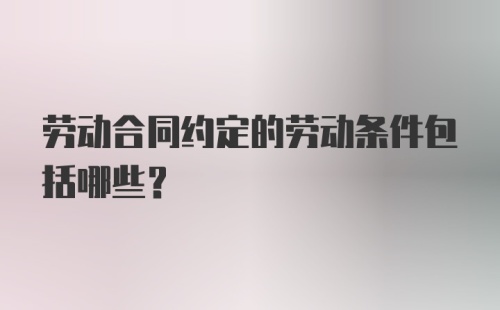 劳动合同约定的劳动条件包括哪些?