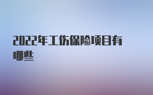 2022年工伤保险项目有哪些