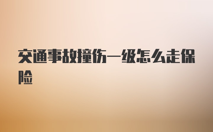 交通事故撞伤一级怎么走保险