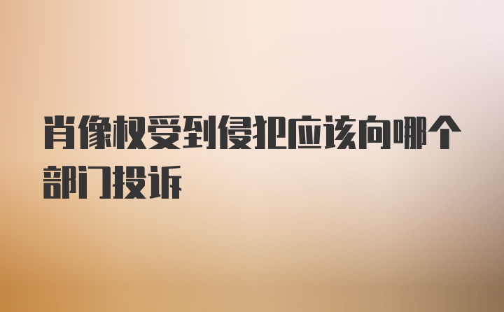 肖像权受到侵犯应该向哪个部门投诉