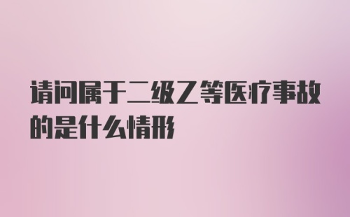 请问属于二级乙等医疗事故的是什么情形