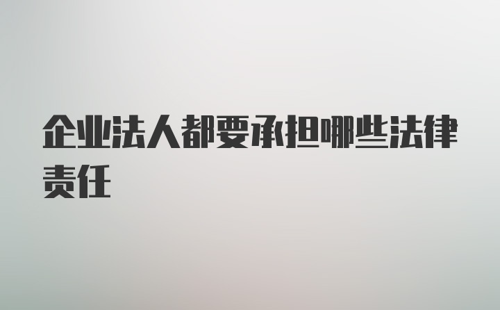 企业法人都要承担哪些法律责任