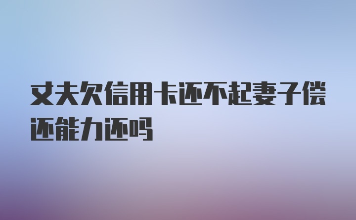 丈夫欠信用卡还不起妻子偿还能力还吗