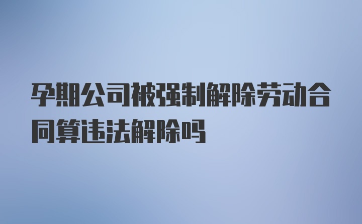 孕期公司被强制解除劳动合同算违法解除吗