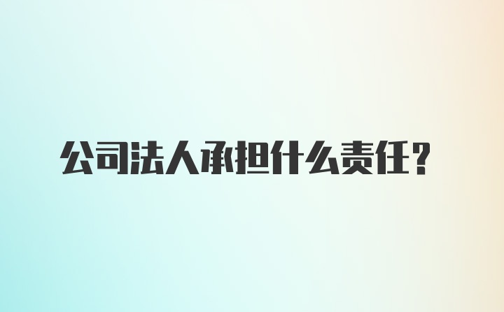 公司法人承担什么责任？