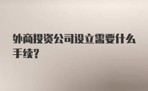 外商投资公司设立需要什么手续？