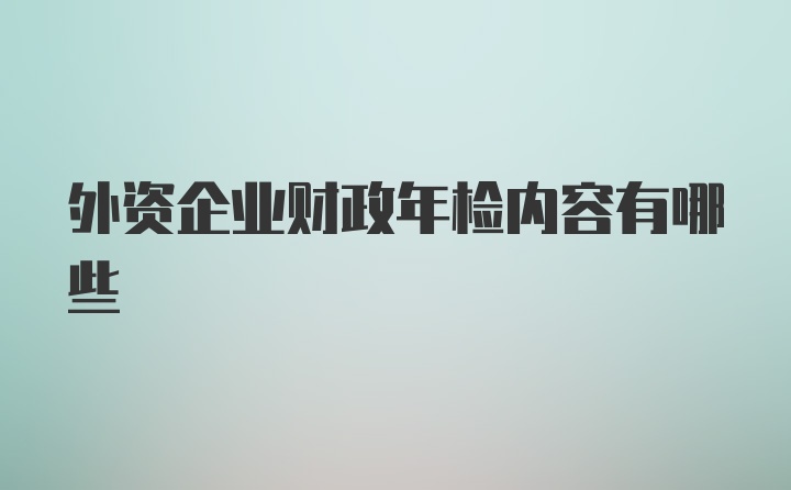 外资企业财政年检内容有哪些