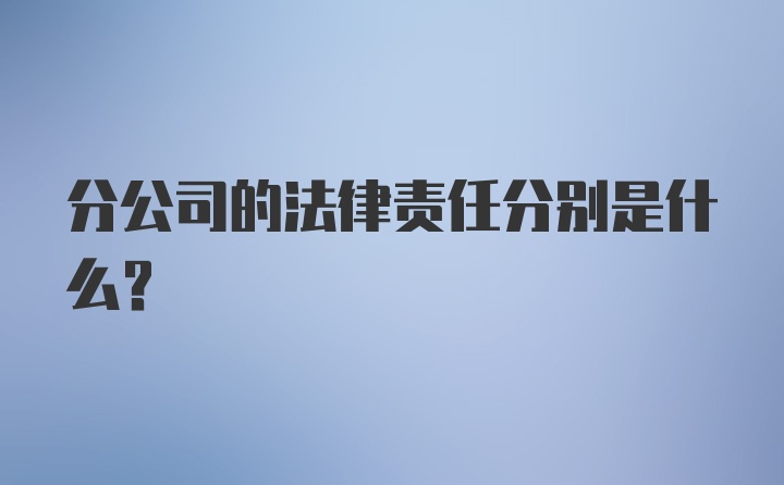 分公司的法律责任分别是什么？