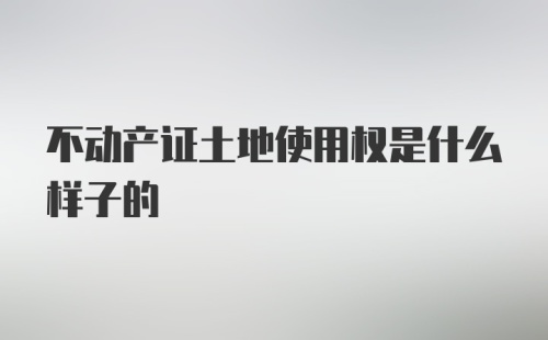 不动产证土地使用权是什么样子的