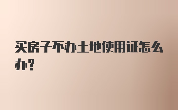 买房子不办土地使用证怎么办？