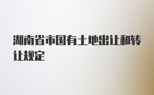 湖南省市国有土地出让和转让规定