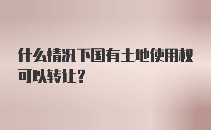 什么情况下国有土地使用权可以转让？