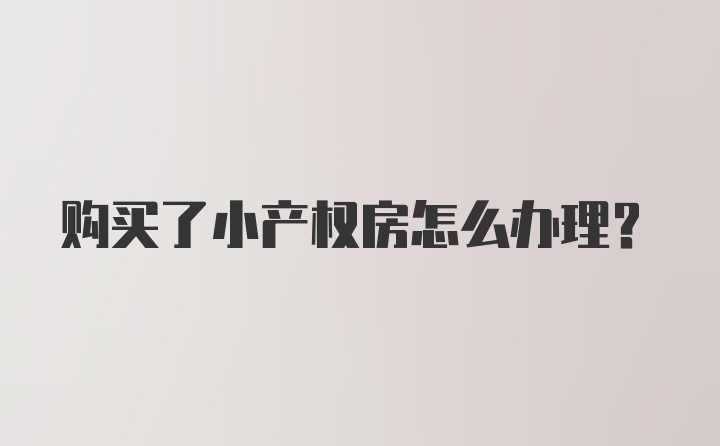 购买了小产权房怎么办理？