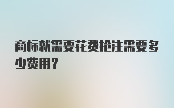 商标就需要花费抢注需要多少费用？