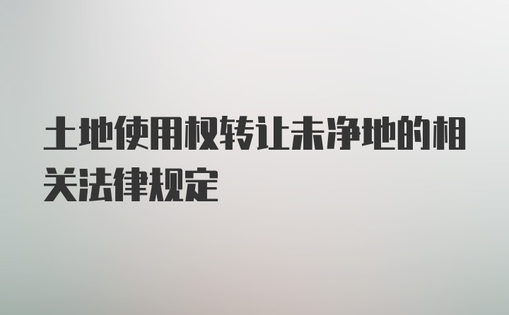 土地使用权转让未净地的相关法律规定