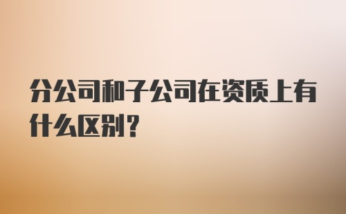 分公司和子公司在资质上有什么区别？