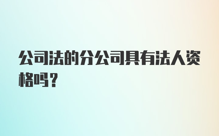 公司法的分公司具有法人资格吗？